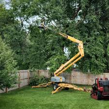 Best Tree Risk Assessment  in Pecatonica, IL